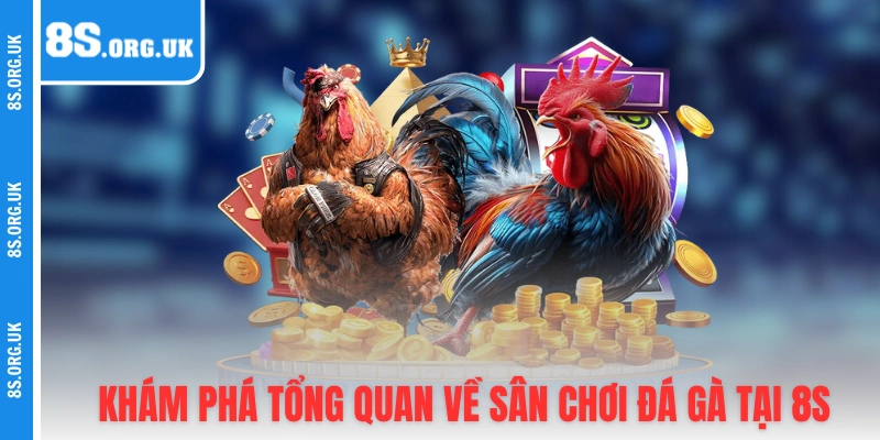 Khám phá tổng quan về sân chơi đá gà tại 8S