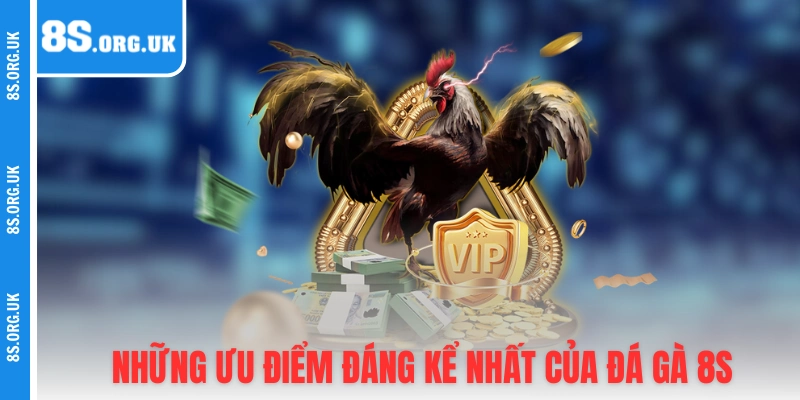 Những ưu điểm đáng kể nhất của sân chơi đá gà 8S