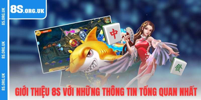 Giới thiệu 8S với những thông tin tổng quan nhất